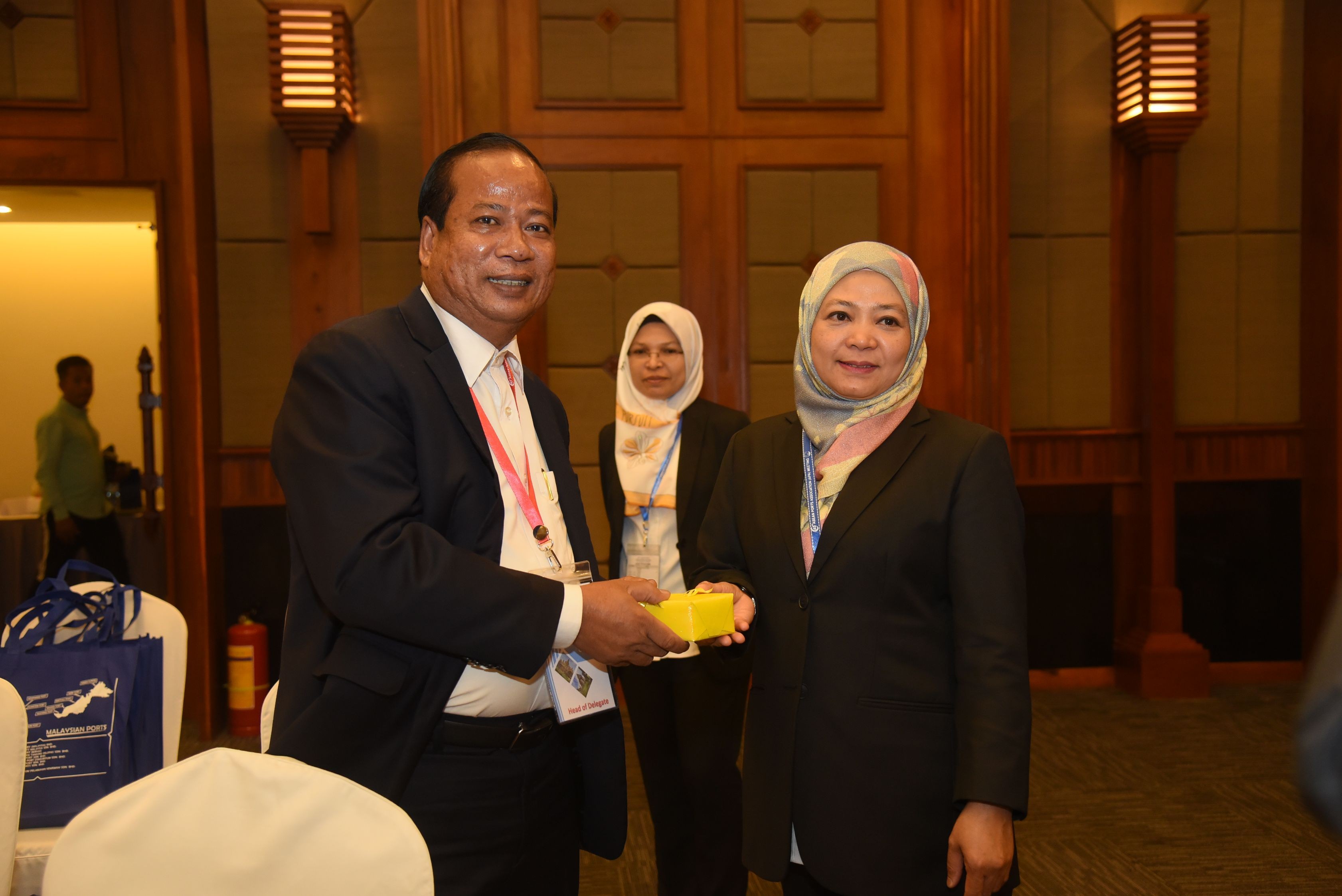 45th APA Meeting
